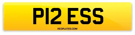 P12 ESS