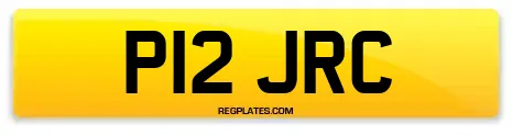 P12 JRC
