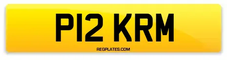 P12 KRM