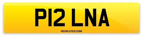 P12 LNA