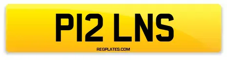 P12 LNS