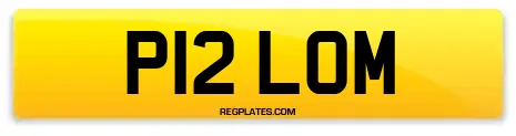 P12 LOM