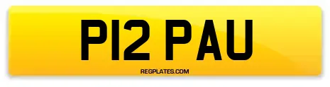 P12 PAU
