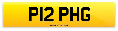 P12 PHG