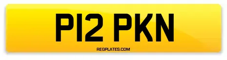 P12 PKN