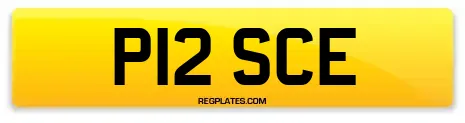 P12 SCE