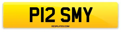 P12 SMY
