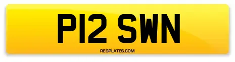 P12 SWN