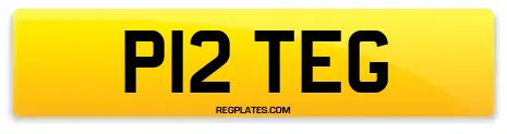 P12 TEG