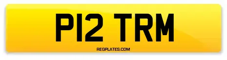 P12 TRM