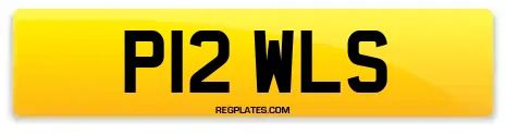 P12 WLS