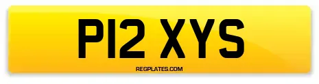 P12 XYS