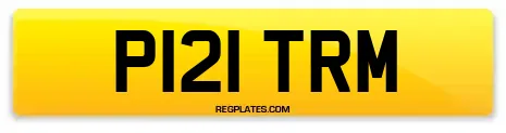 P121 TRM
