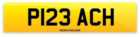 P123 ACH