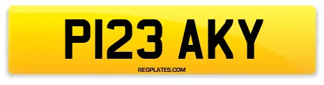P123 AKY