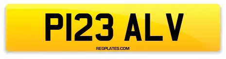P123 ALV