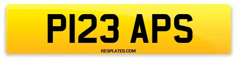 P123 APS