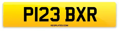P123 BXR
