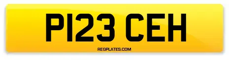 P123 CEH