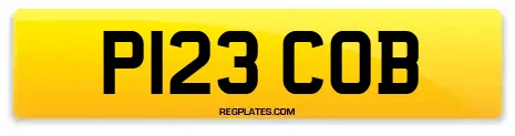 P123 COB