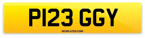 P123 GGY