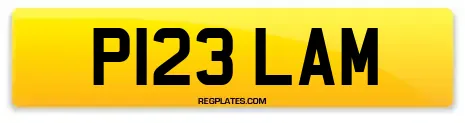 P123 LAM