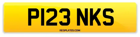 P123 NKS