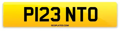 P123 NTO