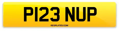 P123 NUP