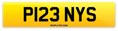 P123 NYS