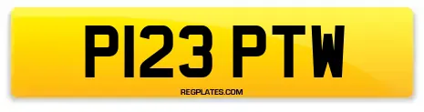 P123 PTW