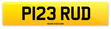 P123 RUD
