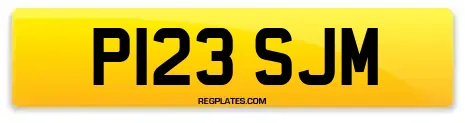 P123 SJM