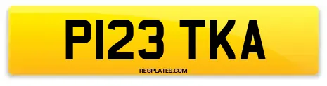 P123 TKA