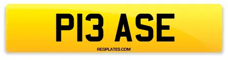 P13 ASE