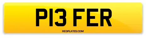 P13 FER