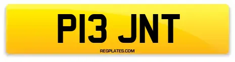 P13 JNT