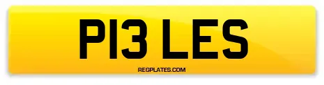 P13 LES