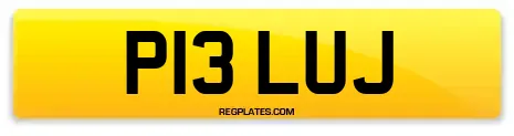 P13 LUJ