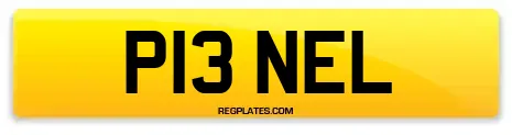 P13 NEL