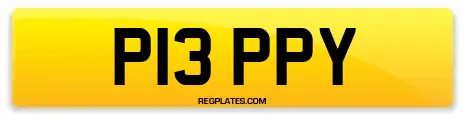 P13 PPY