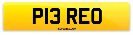 P13 REO