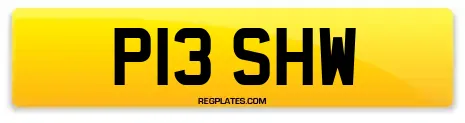 P13 SHW