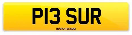P13 SUR