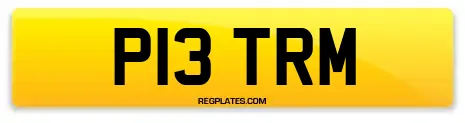 P13 TRM