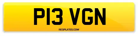 P13 VGN