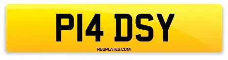 P14 DSY