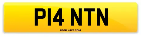 P14 NTN
