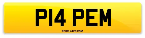 P14 PEM
