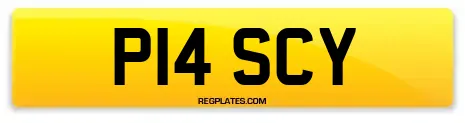 P14 SCY